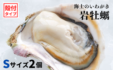 【海士のいわがき】海士町産 いわがき 岩牡蠣 Sサイズ 2個 殻付き 新鮮クリーミーな高級岩牡蠣 冷凍 生食 牡蠣ナイフ 説明書付き 340g～470g