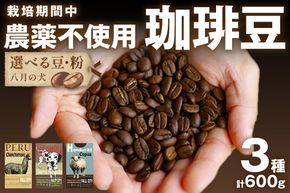 【栽培期間中農薬不使用】自家焙煎コーヒー豆　お試しセット（200gx3種）八月の犬　珈琲豆　ドリップ　飲み比べ　ブホペ 飲料 珈琲 こーひー コーヒー coffee HA00007