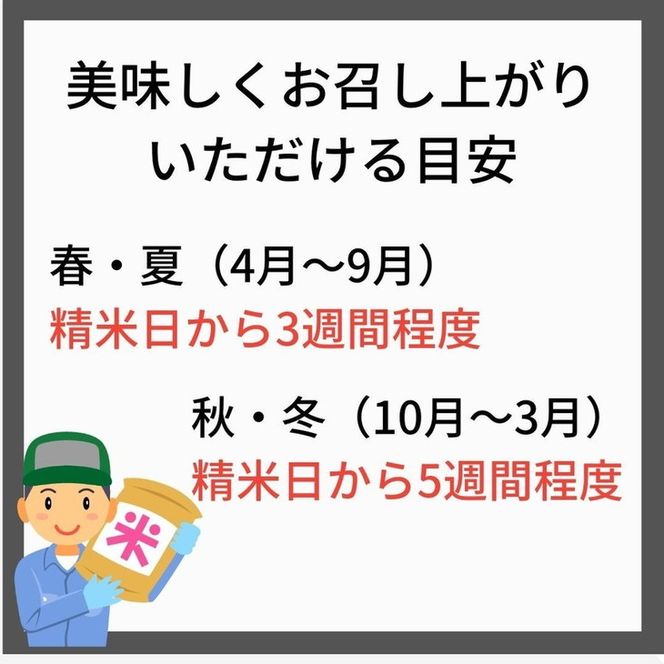 【定期便】令和6年産 新米 先行予約  京都 丹波産 きぬひかり 玄米 5kg×6回 計30kg｜5つ星お米マイスター 厳選 受注精米可 隔月発送も可 ※離島への配送不可※2024年9月下旬以降順次発送予定