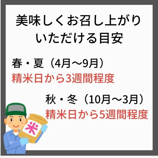米 令和7年産 京都丹波産 こしひかり 玄米 10kg（5kg×2袋）｜5つ星お米マイスター 厳選 受注精米 選択可(5分・7分・精米)新米 コシヒカリ ブランド米 ※離島への配送不可