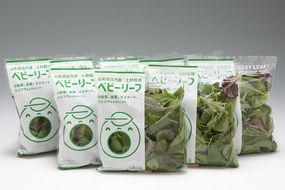 庄内産ベビーリーフミックス　40g×8袋