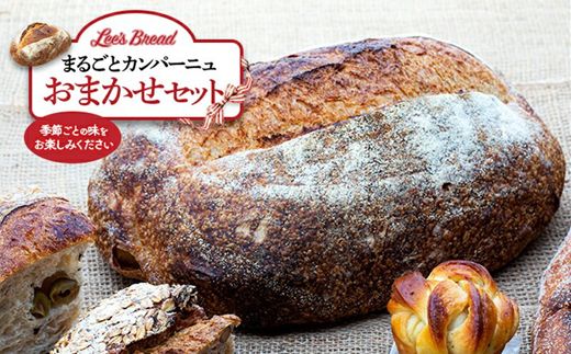 159-2025-04　【定期便3か月】　Lee's Breadまるごとカンパーニュおまかせセット　天然酵母パン　ハード系ブレッド　カンパーニュ　期間限定受付　配送地域限定