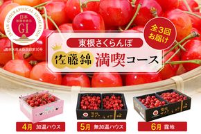 2025年GI「東根さくらんぼ」 佐藤錦満喫コース(2025年4月下旬～5月中旬からスタート)　hi001-032-2