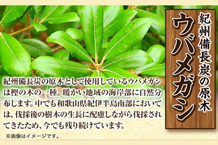 紀州 備長炭 半丸 約 5kg 望商店 《30日以内に出荷予定(土日祝除く)》 和歌山県 日高川町 備長炭 紀州備長炭 炭 約5kg 高級白炭---wshg_nzm6_30d_23_27000_5kg---