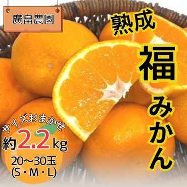 熟成「福」みかん　※2025年2月初旬頃から発送　※離島不可