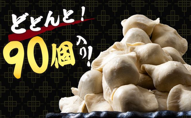 だぶだぶの肉汁をすすりたくなる餃子 90個（30個入×3パック） BE007