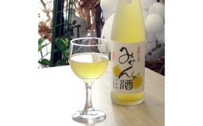 417.有田みかんの酒(ワイン)2本セット (A417-1)