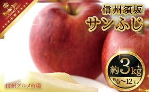 サンふじ約3kg（約6～12玉）秀品《信州グルメ市場》■2024年～2025年発送■※11月中旬頃～1月下旬頃まで順次発送予定