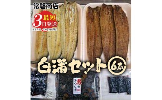 国産うなぎ白蒲セット6本【最短3日発送】うなぎの白焼き（120g～130g×3尾）、うなぎの蒲焼き（120g～130g×3尾）、男のきくらげのセット｜国産のブランド鰻を茨城県土浦市の職人が丁寧に作り上げた美味しい蒲焼きと白焼きです ※離島への配送不可