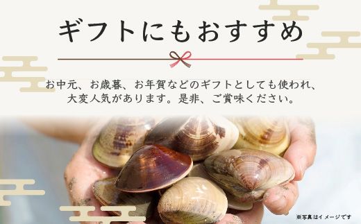 ＜１２ヶ月毎月届く定期便!＞九十九里浜産活天然はまぐりサイズお任せ2kg入り SMBB007