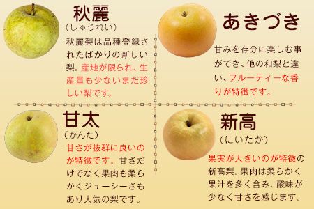 上田果樹園の元祖！玉東梨(旬の品種をお届けします)約3kg(4玉-10玉)  《7月下旬-9月下旬頃出荷》 熊本県玉名郡玉東町 なし 果物 スイーツ デザート---sg_cuednasi_p79_r8_12000_3kg---