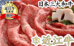 【4等級以上】厳選　近江牛　すき焼き・しゃぶしゃぶ【500g】【BS01U】