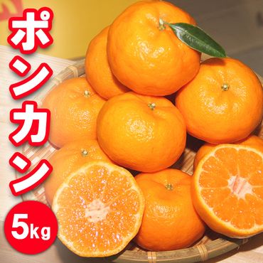 濃厚】有田の不知火約5kg（12玉～20玉） ※2024年2月上旬～3月下旬頃に