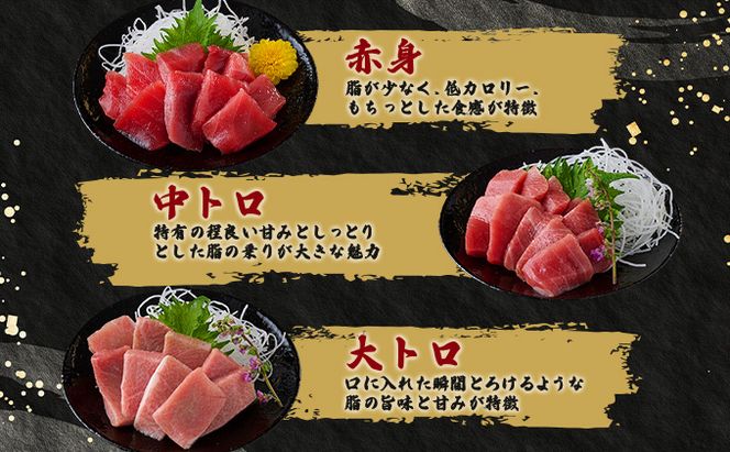 《 天然本まぐろ 》大トロ 中トロ 赤身 【ぼっちりパック】合計720g(60g×12パック )  食べ比べ 天然まぐろ 本マグロ まぐろ マグロ 鮪 大とろ 中とろ 切り落とし 刺身 魚介類 海鮮 魚 海産物 魚貝 高知県 小分け 大とろ 簡単 調理 惣菜 訳あり 不揃い 冷凍 送料無料 室戸 mgr tk038