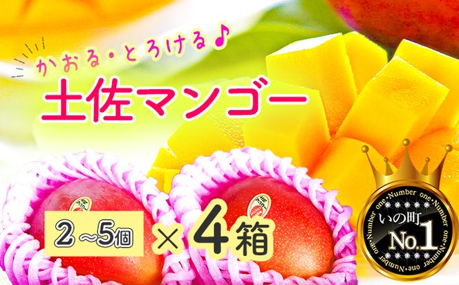 ym̒zEƂ낯Iy}S[(2`5)×S