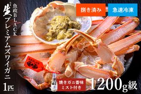 【蟹の匠 魚政】急速冷凍 捌き調理済み 生プレミアムズワイガニ 魚政BLACK 1200g級 1匹　焼きガニ香味ミスト付き(2025年1月～発送)　UO01139