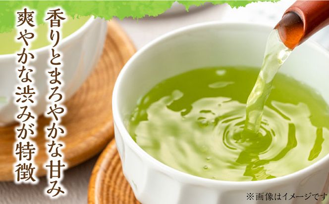 【2025年産】【新茶】星野村の八女茶 上煎茶　80g[ABDD066]