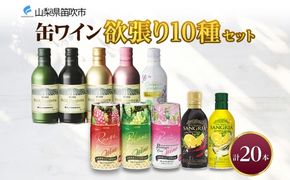 缶ワイン 欲張り10種 飲み比べセット モンデ酒造 20本 177-4-044