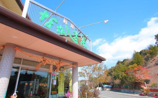 【平日限定】旅館なかしま荘本館 ペア宿泊券（1泊2食付き）宿泊チケット