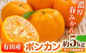 [濃厚・春みかん] 有田産 ポンカン 約 5kg(サイズおまかせ) 厳選館 《2月上旬-3月中旬頃出荷》 和歌山県 日高町 送料無料 柑橘 柑橘類 みかん ポンカン---wsh_gsk15_ae2_23_15000_5200g---