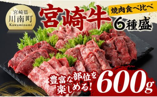 宮崎牛 焼肉 食べ比べ 6種盛 600g【 肉 牛肉 国産 宮崎県産 黒毛和牛 和牛 焼肉 バーベキュー 】[D11417]