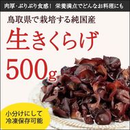 1608 純国産 生きくらげ 500g