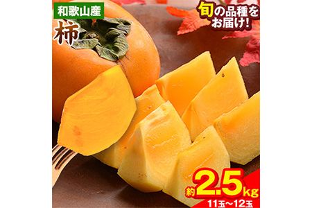 和歌山県産 和歌山県産 柿 約2.5kg 11玉-12玉 前商店[9月下旬-11月中旬頃出荷]柿 かき フルーツ スイーツ 果物 送料無料---wsk_mes20_9g11c_25_10500_12t---