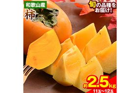 和歌山県産 和歌山県産 柿 約2.5kg 11玉-12玉 前商店《9月下旬-11月中旬頃出荷》柿 かき フルーツ スイーツ 果物 送料無料---wsk_mes20_9g11c_25_10500_12t---