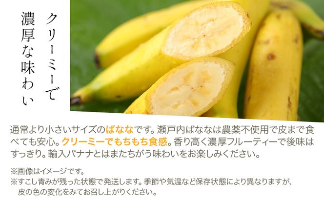 皮ごと 食べれる 瀬戸内 プチ ばなな 2本入 3パック 株式会社プランター バナナ《45日以内に出荷予定(土日祝除く)》---A-186---