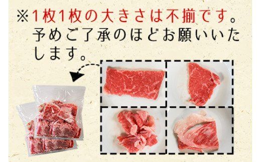 ＜宮崎牛 切り落とし 合計1kg（200g×5）＞翌月末迄に順次出荷【a0331_ty】