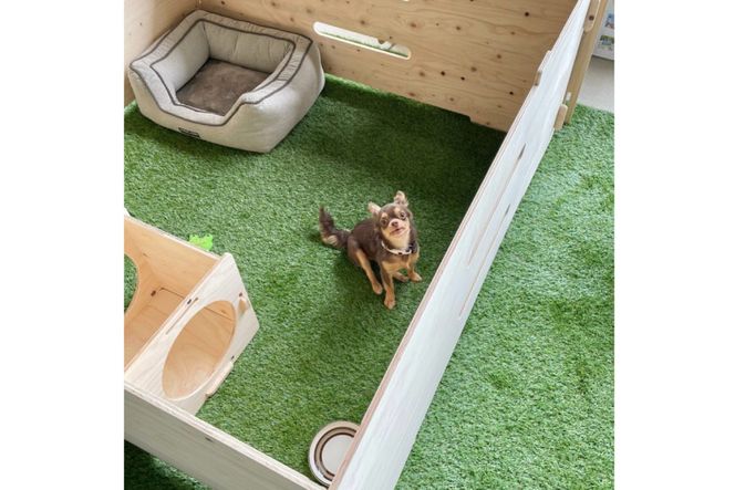 犬 ミニ ドッグラン 小型犬 持ち運び 折りたたみ 組立簡単 木製 犬 ミニ ドッグラン 小型犬 持ち運び 折りたたみ 組立簡単 木製