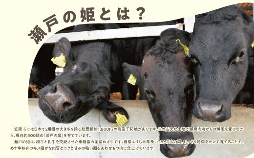 A-09 瀬戸の姫（焼肉用）《45日以内に出荷予定(土日祝除く)》