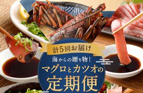 定期便 年5回 海からの贈り物！マグロとカツオのお楽しみセット まぐろ マグロ カツオのたたき ネギトロ  刺身 海産物 魚介類 鮪 まぐろたたき 鰹 魚 高知 海鮮 冷凍 訳あり 不揃い 故郷納税 10万円 ５回 送料無料 室戸 all tk006!
