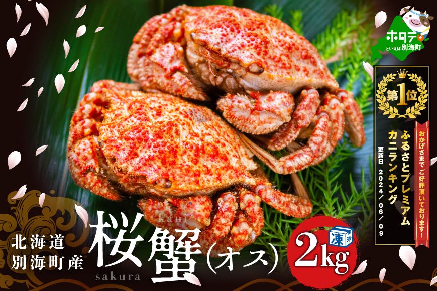 旬は春～初夏 クリガニ 栗ガニ １尾200～300g 北海道 蒸す 煮る　　１kg