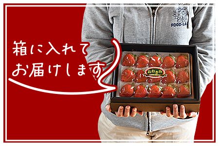 ＜高級いちご「おおきみ」（15粒入り×1パック約380g以上）＞2025年1月下旬～4月末迄に順次出荷【a0285_sn】