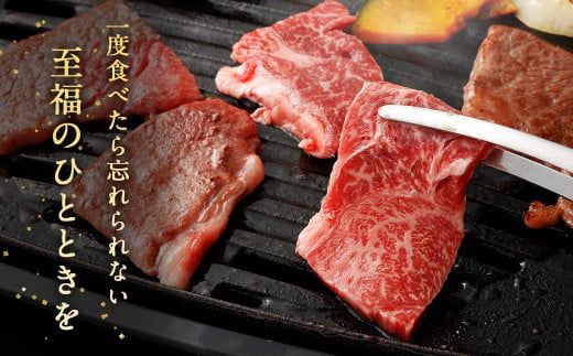 ＜赤身 (ウデ) 焼肉 350g×2＞翌月末迄に順次出荷【c1179_ya】