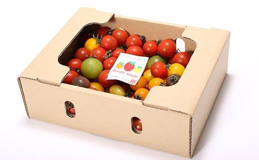 1月～6月毎月発送 まるでトマトの宝石箱！ジュエリートマトの定期便 6回コース H004-164