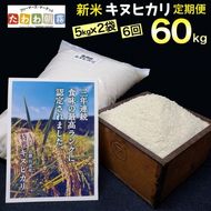 【定期便】令和5年産 米 10kg 6ヶ月 京都丹波産 キヌヒカリ 白米＜JA京都 たわわ朝霧＞ 6回定期便 10kg（5kg×2袋）×6回 計60kg 毎月発送に合わせて精米≪緊急支援品 ふるさと納税 訳あり≫