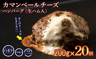 北海道産 白老牛 カマンベールチーズハンバーグ 20個セット 冷凍 チーズ イン ハンバーグ BY087
