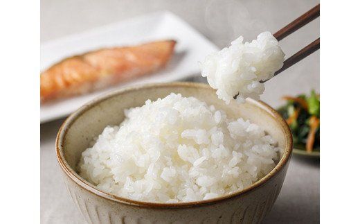 のと米 こしひかり 精米 10kg [はくい農業協同組合 石川県 宝達志水町 38600498] 米 お米 ごはん コシヒカリ 美味しい