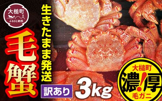 [令和7年発送先行予約][訳あり]三陸産活毛ガニ 3kg[2025年2月〜4月発送][配送日指定不可][0tsuchi01007-24-3][08]