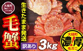 【令和7年発送先行予約】【訳あり】三陸産活毛ガニ 3kg【2025年2月〜4月発送】【配送日指定不可】【0tsuchi01007-24-3】【08】