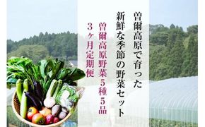 【定期便】2026年7月発送開始 野菜5種5品3ヶ月定期便 /// 奈良県 野菜 野菜セット 定期便 核家族 小さめセット 月1配送 予約 夏野菜 おすすめ 野菜定期便