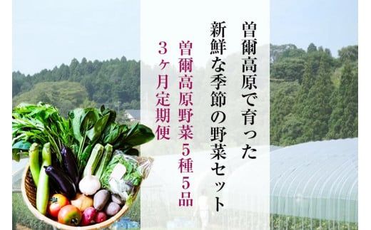 【定期便】2026年7月発送開始 野菜5種5品3ヶ月定期便 /// 奈良県 野菜 野菜セット 定期便 核家族 小さめセット 月1配送 予約 夏野菜 おすすめ 野菜定期便