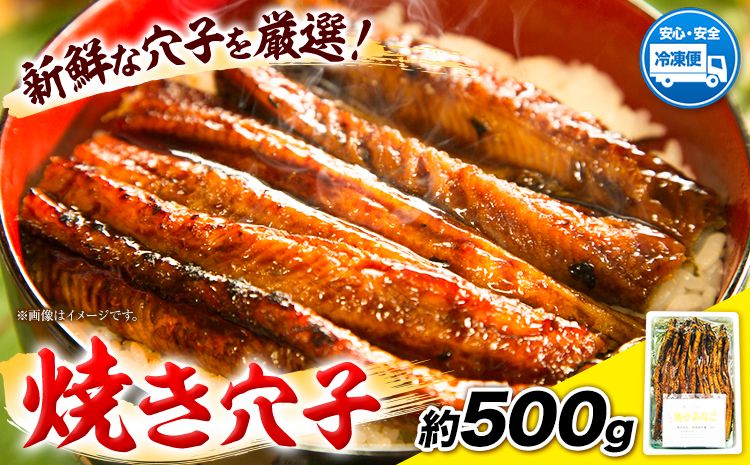 焼き穴子 約500g 笠岡魚市場[45日以内に出荷予定(土日祝除く)]岡山県 笠岡市 穴子 海鮮 魚 お魚---A-06---