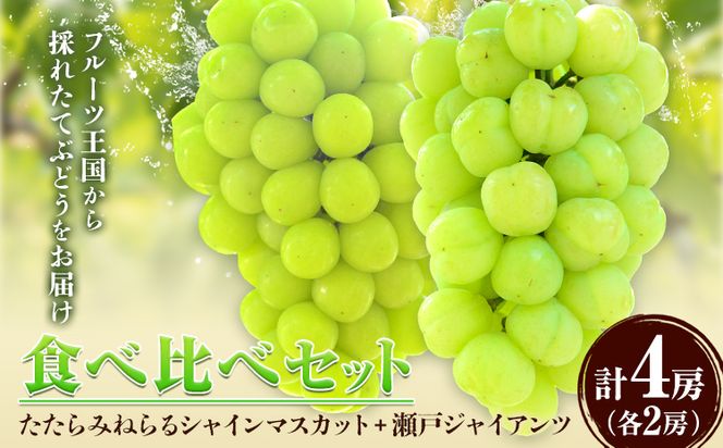 【2024年産先行予約】食べ比べセット たたらみねらる シャインマスカット 瀬戸ジャイアンツ 各2房 2.6kg以上《8月下旬-10月下旬頃出荷》岡山県 笠岡市 マスカット ぶどう ブドウ 葡萄 フルーツ 果物 たたらみねらる 食べ比べ セット---4-13a---