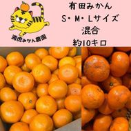12/23までにご入金確認分は年内発送確定！訳あり温州みかん 家庭用 箱込み 10kg (SMLサイズ混合) 	DB019