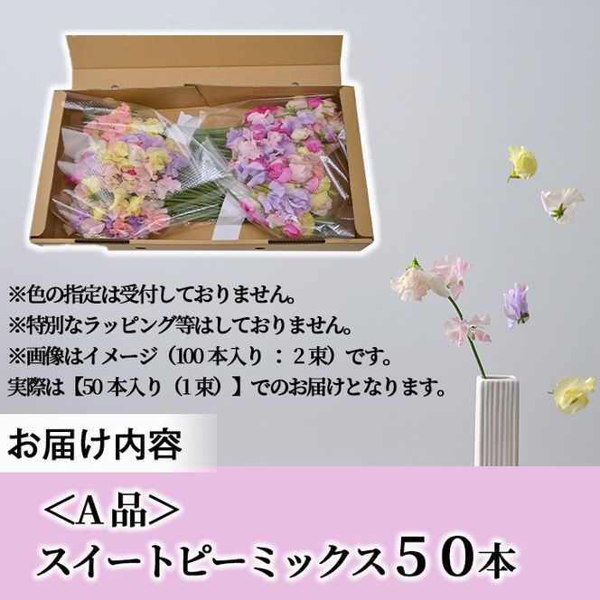 ＜先行予約受付中！2026年1月以降順次発送予定＞＜A品＞スイートピーミックス(50本)花 フラワー 切り花 植物 ギフト 贈り物 プレゼント インテリア 常温 保存 宮崎県 門川町【AL-3】【安田農園】