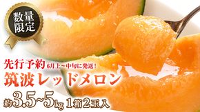 筑波レッドメロン 1箱 2玉 入り（約 3.5kg ～ 5kg ）【2027年6月上旬以降発送】  メロン レッド  赤肉 甘い 期間限定 産地直送 果物 フルーツ [BU001ya]