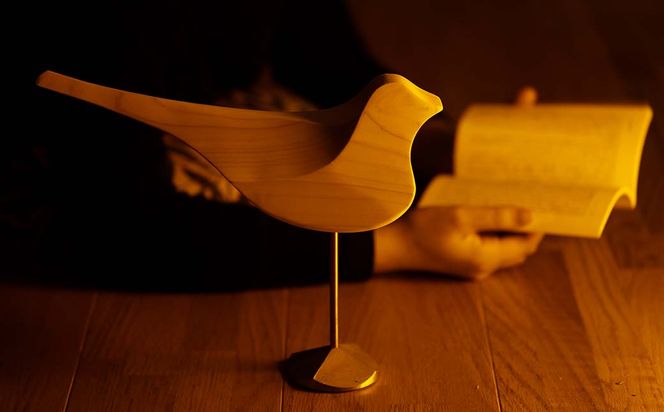 ブックバード Y-ms-250A